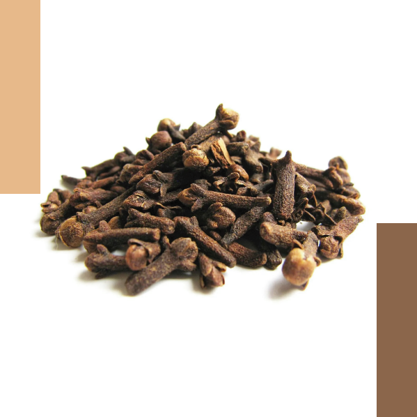 cloves